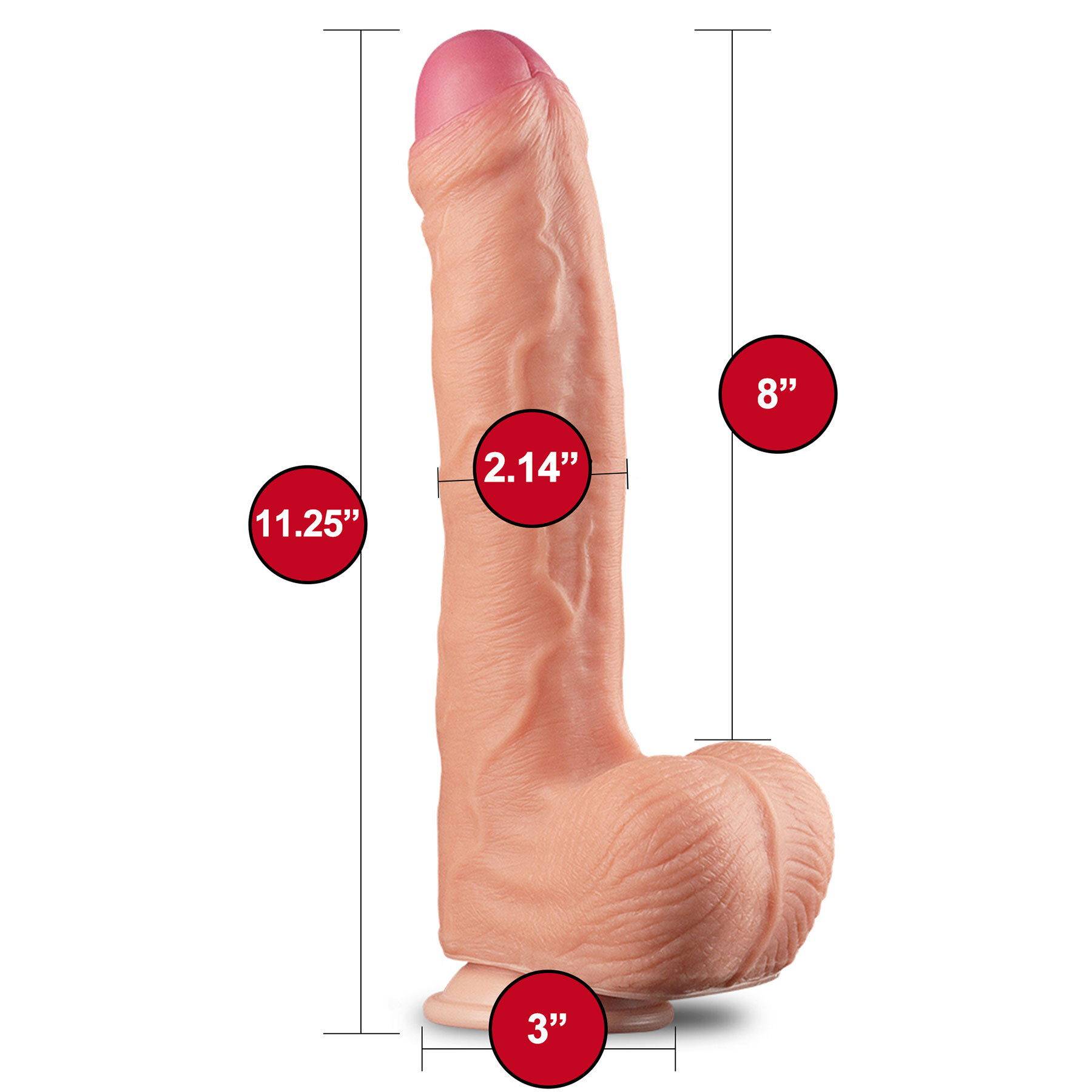 Leman Russ XL 8" Realistic Dual Density Silicone Dildo - Measurements