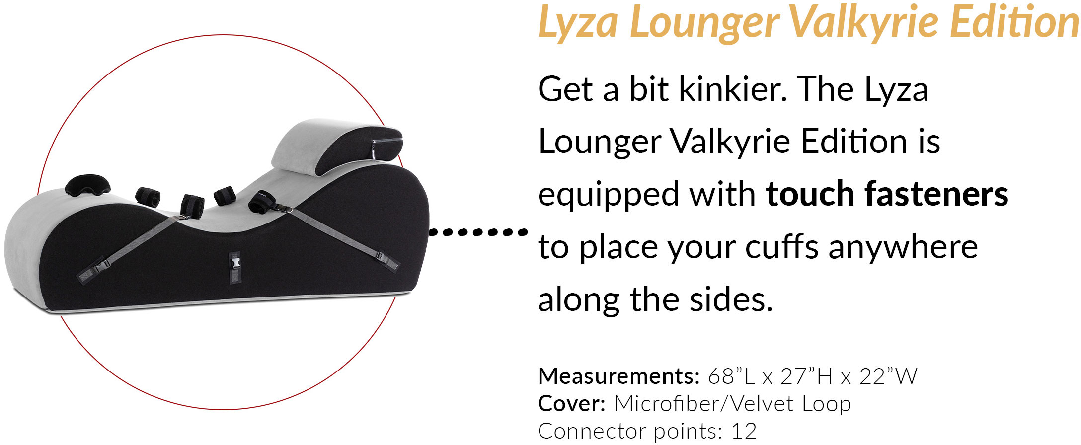 How Does the Lyza Differ From the Esse? - Graphic