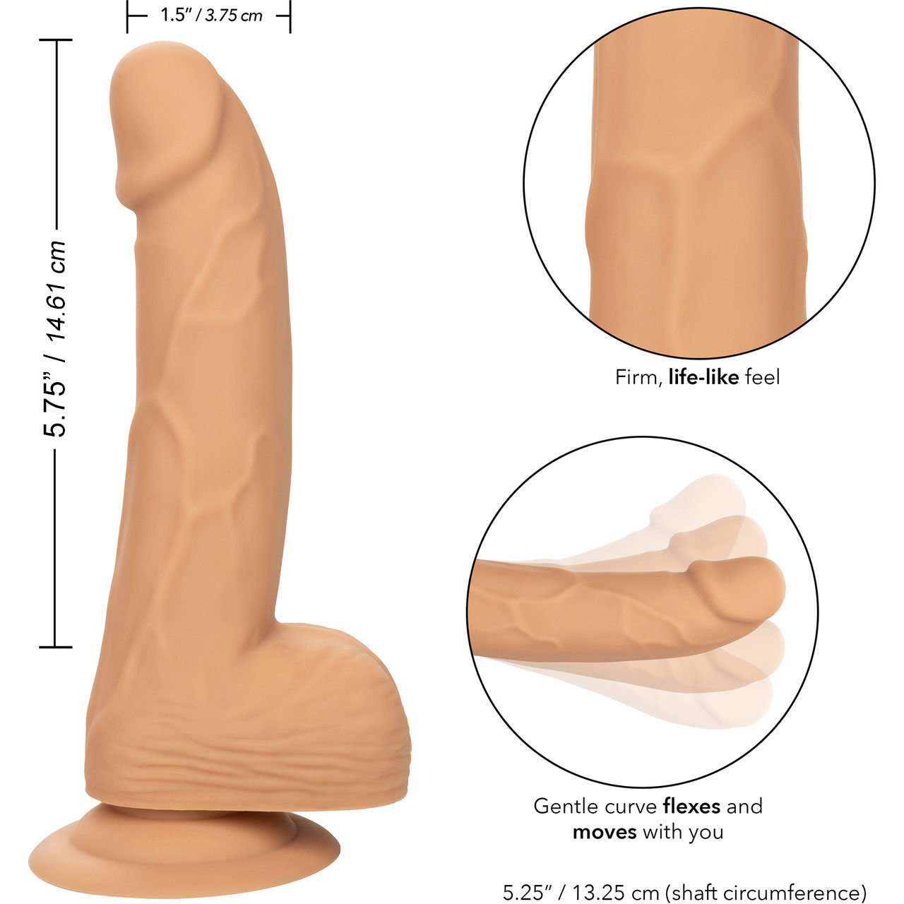 Silicone Studs Realistic 6" Suction Cup Dildo - Measurements