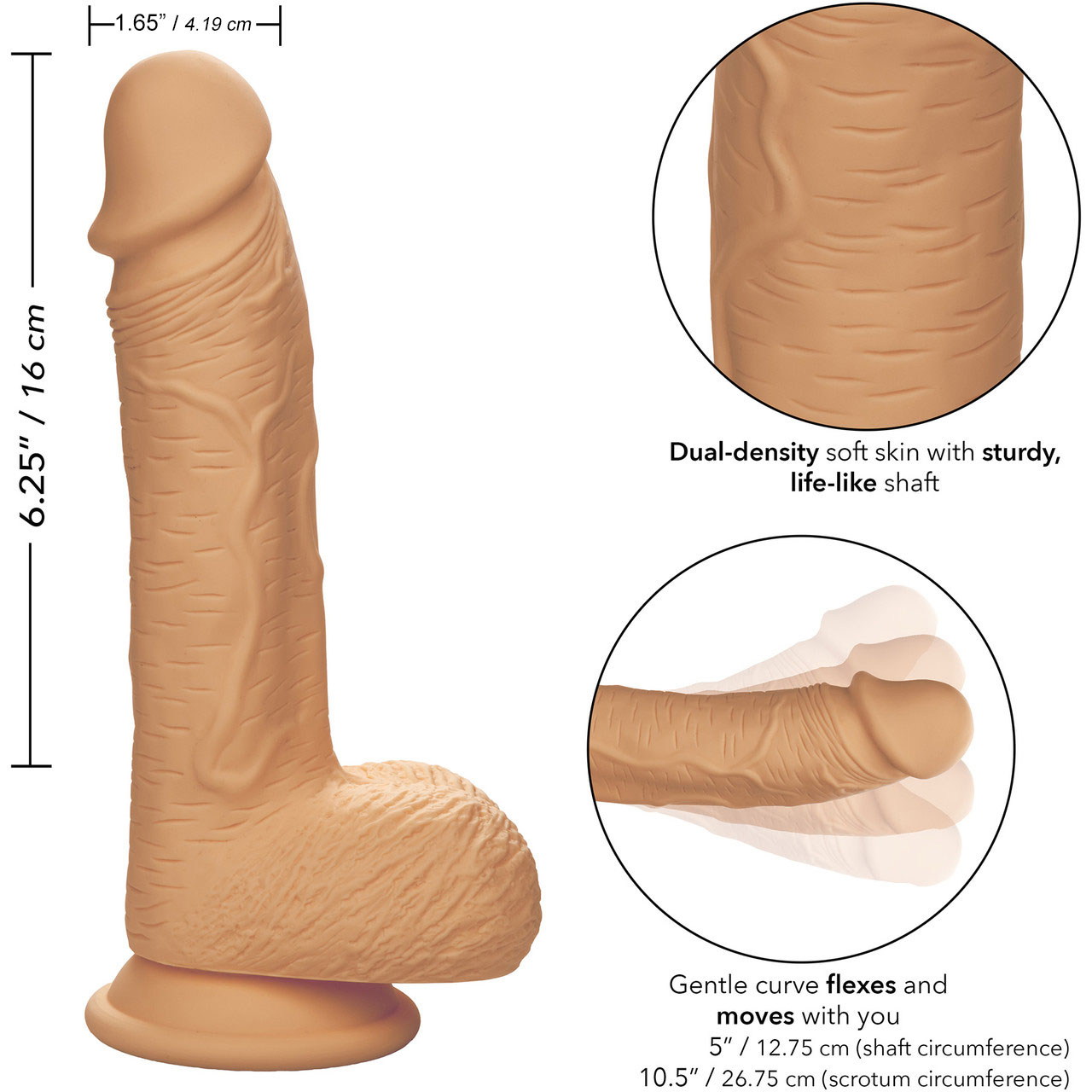 Silicone Studs Realistic 6.25" Suction Cup Dildo - Measurements