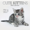 2023 Square Wall Calendar - Cute Kittens