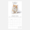 2023 Square Wall Calendar - Cute Kittens