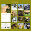 2026 SQUARE WALL CALENDAR – HORSES