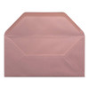 DL Colour Premium Envelopes (10pk)
