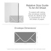 DL Colour Premium Envelopes (10pk)