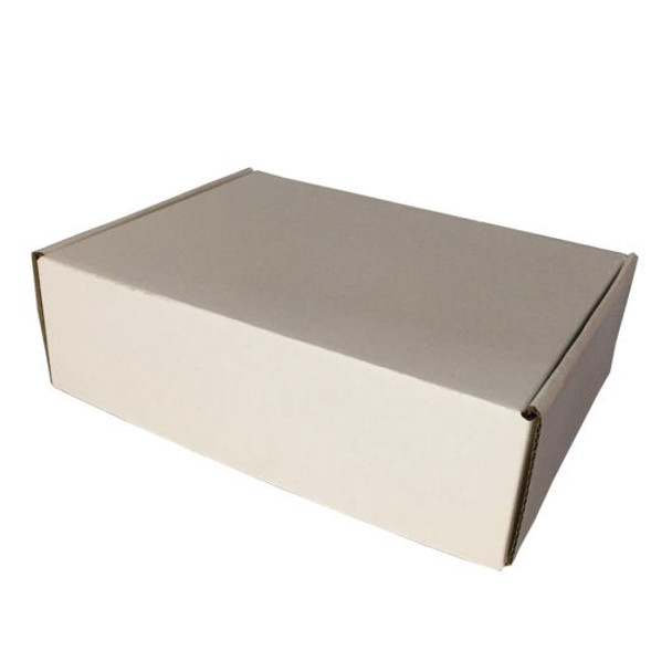 MAIL BOX WHITE 260X175X100MM (Pack of 1)