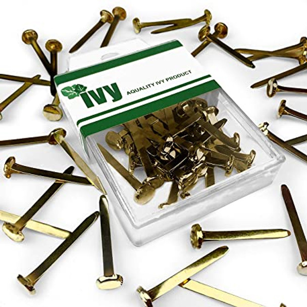 Ivy tidy box Paper fasteners 3