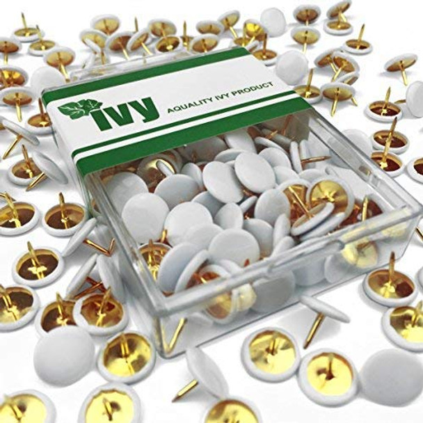 Ivy tidybox Drawing pins White