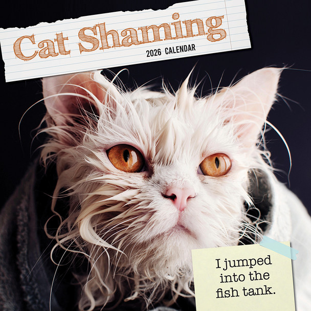 2026 SQUARE WALL CALENDAR – CAT SHAMING