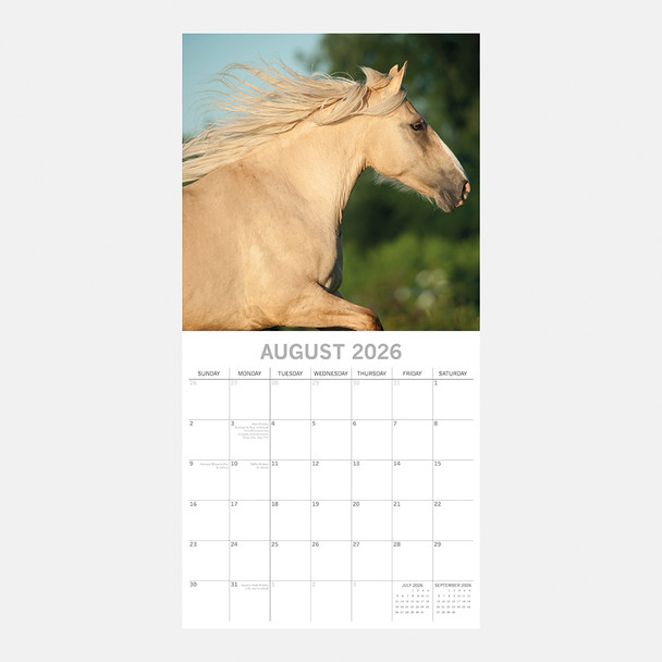 2026 SQUARE WALL CALENDAR – HORSES
