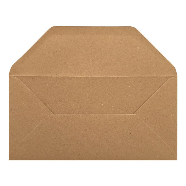 DL Colour Premium Envelopes (10pk)