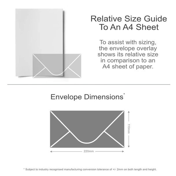 DL Colour Premium Envelopes (10pk)