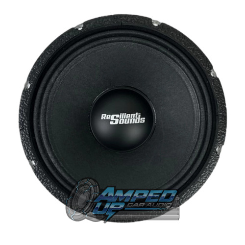 Resilient Sounds RS NEO 10M 10" Speaker Front View