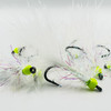 FCT TODD'S COHO CHARMER FLY #8