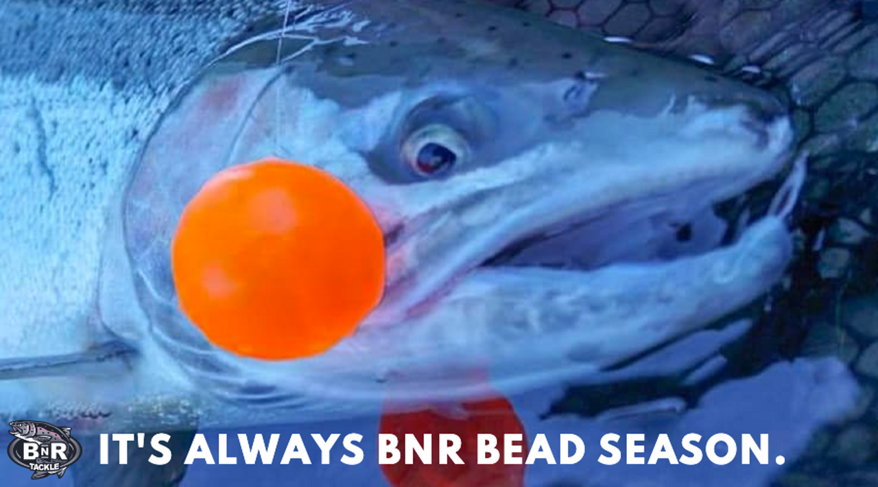 BNR Beads