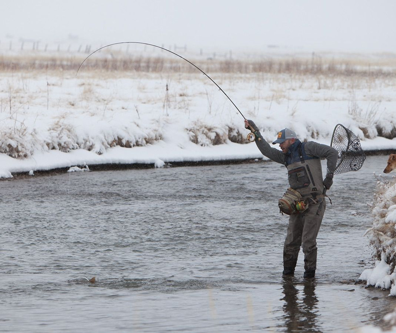 Nomad Hand Net  Silver Bow Fly Shop