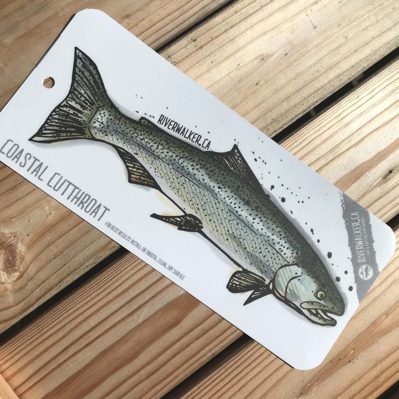 COASTAL CUTTHROAT LARGE DECAL