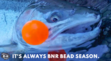 BNR Beads