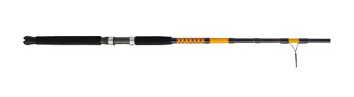 Ugly Stik Bigwater Spinning Rod