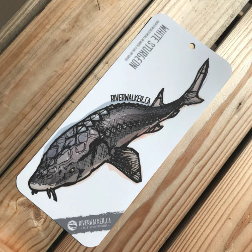 STURGEON LARGE DECAL