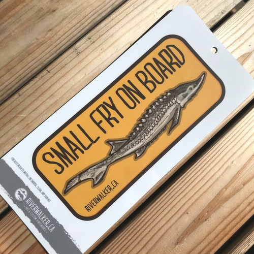 STURGEON SMALL FRY XL DECAL