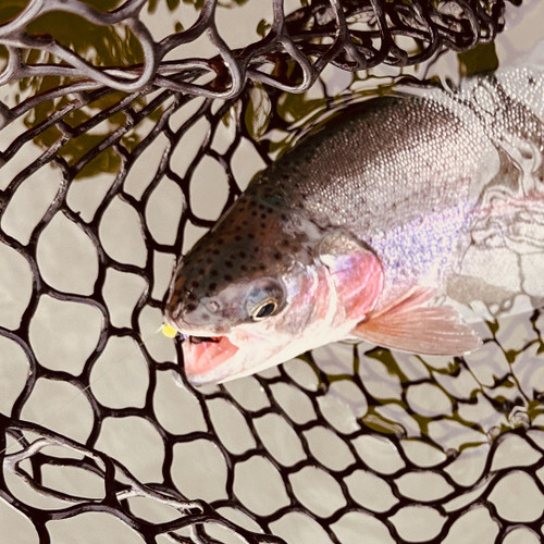 TODD'S BLOODY BOMBER JIG FLY #10 BARBLESS