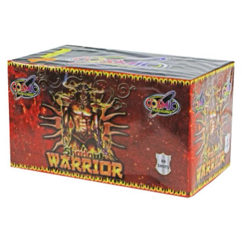 Warrior Of Shadows Warrior Of Shadows