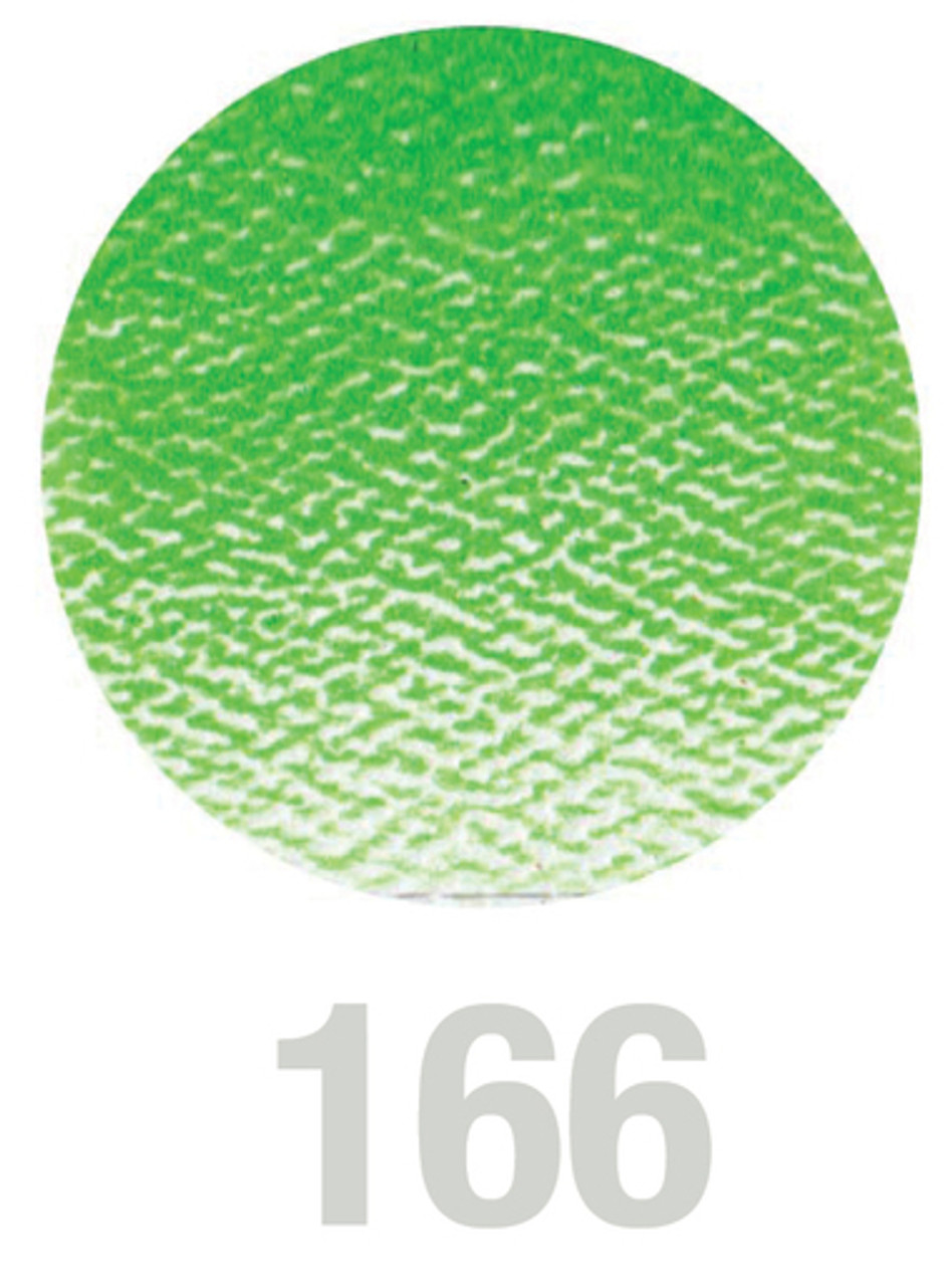 Polychromos Artists Colour Pencil 166 Grass Green
