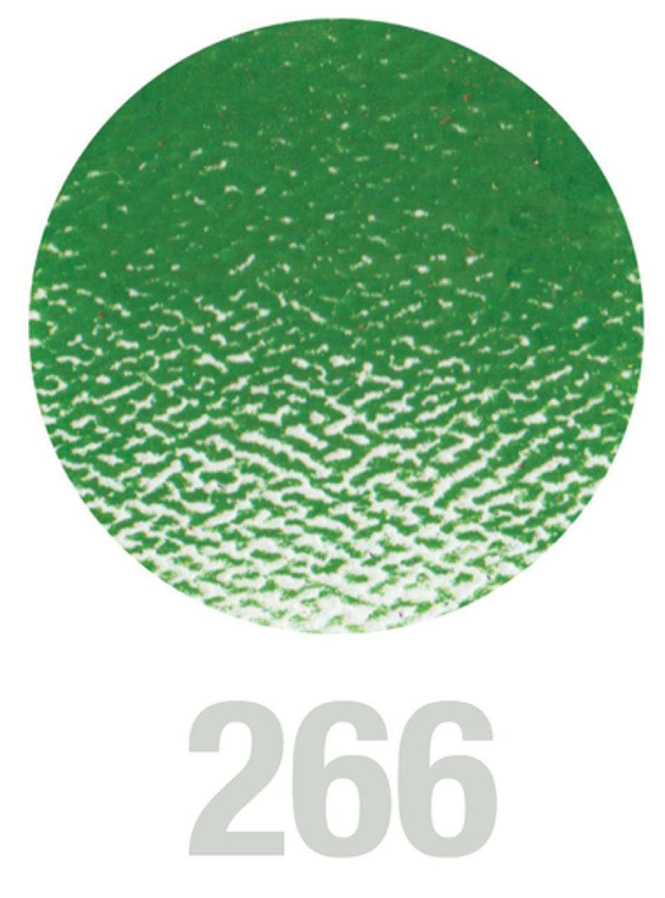 Polychromos Artists Colour Pencil 266 Permanent Green