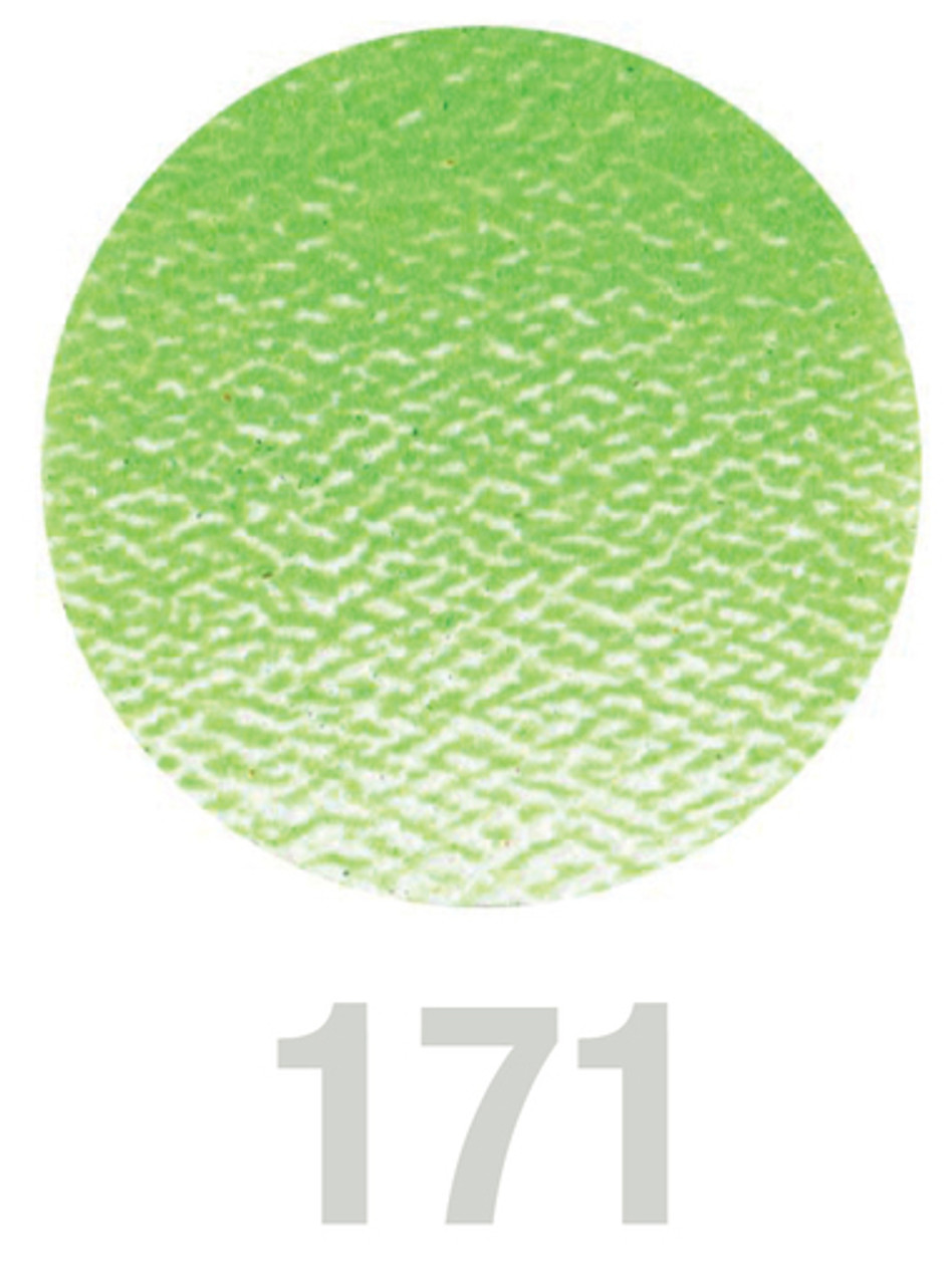 Polychromos Artists Colour Pencil 171 Light Green