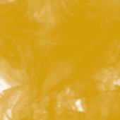 FW ACRYLIC INK-29.5ml YELLOW OCHRE