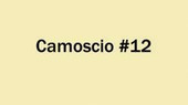 PRISMA FAVINI A4 - CAMOSCIO (CHAMOIS) #12
