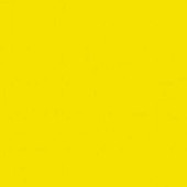 Jacquard Procion Dye 18.7ml - Lemon Yellow