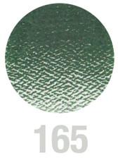 Polychromos Artists Colour Pencil 165 Juniper Green