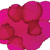 Jacquard Pinata Alcohol Ink 14.8ml Senorita Magenta