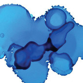 Jacquard Pinata Alcohol Ink 14.8ml Baja Blue
