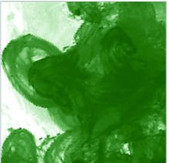 FW ACRYLIC INK-29.5ml SAP GREEN