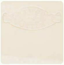 Earthenware brush on glaze 500ml Clear Gloss Earthenware brush on glaze 500ml Clear Gloss