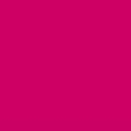 PEBEO SETASILK 45ML 08 RASPBERY PEBEO SETASILK 45ML 08 RASPBERY