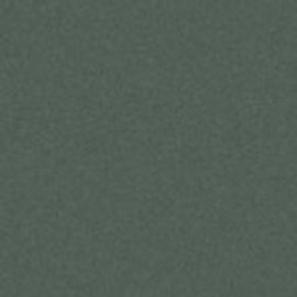 Art Spectrum Colourfix Original 50x70cm Leaf Green Dark