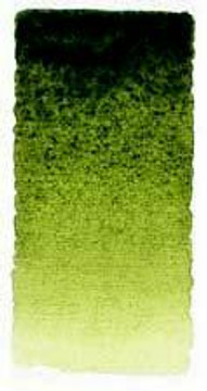 Art Spectrum Watercolour 10ml OLIVE-GREEN-PERMANENT