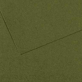 Mi-Teintes 160gsm 50x65cm IVY 448
