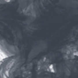 FW ACRYLIC INK-29.5ml BLACK (INDIA) FW ACRYLIC INK-29.5ml BLACK (INDIA)