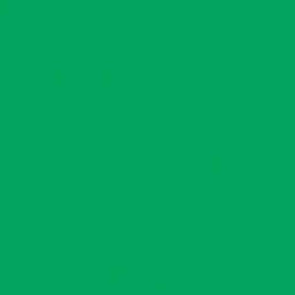 Jacquard Procion Dye 18.7ml - Bright Green Jacquard Procion Dye 18.7ml - Bright Green