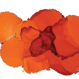 Jacquard Pinata Alcohol Ink 14.8ml Tangerine Jacquard Pinata Alcohol Ink 14.8ml Tangerine