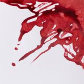 Winsor&Newton Drawing Ink 14ml Brick Red