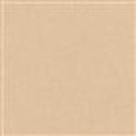 Arquadia Matboard 32x40inch Buff