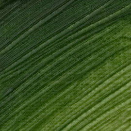 LANGRIDGE-OIL-Terre-Verte LANGRIDGE-OIL-Terre-Verte