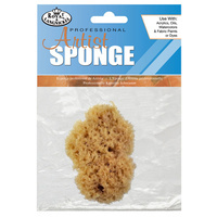 Sponges