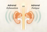 Adrenal Fatigue vs. Adrenal Exhaustion: The Thyroid, Stress & Hormone Connection